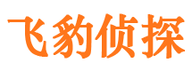 灵丘外遇出轨调查取证